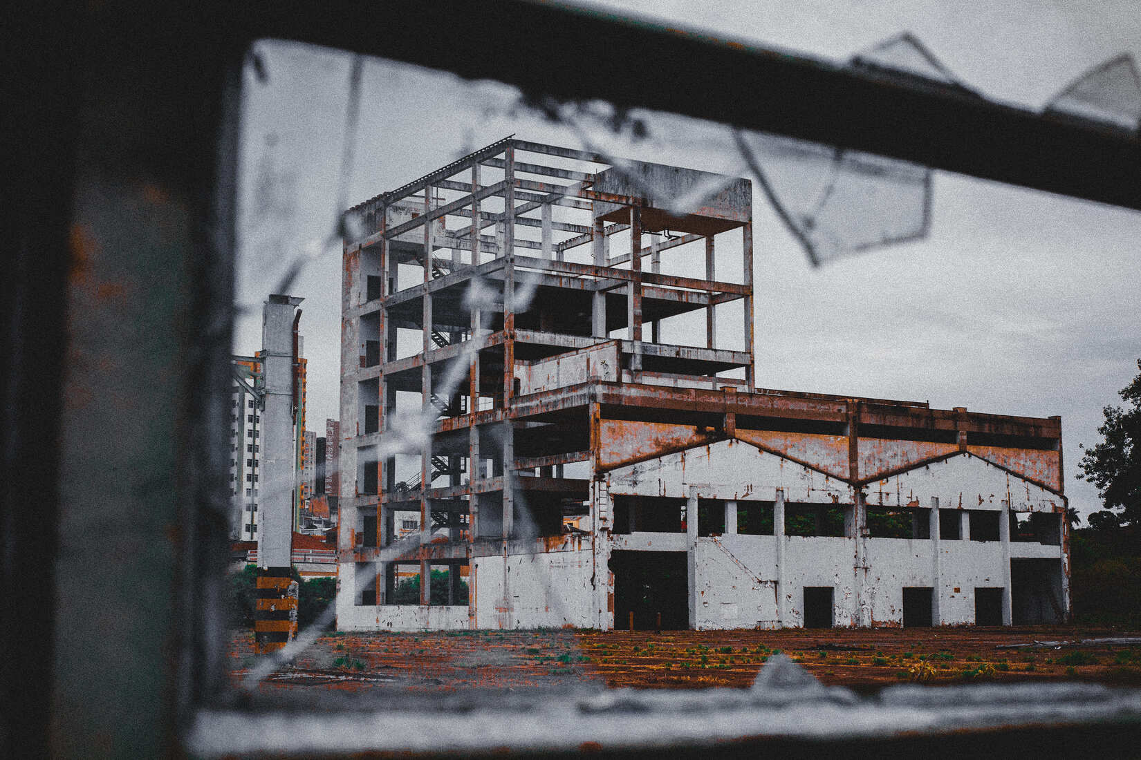 Gallery image